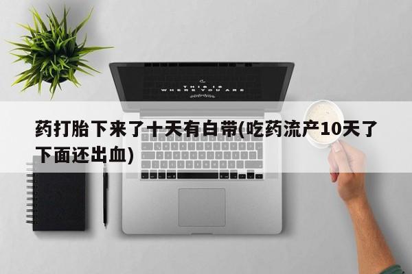 打胎药米非司酮网店,要闻 第75页