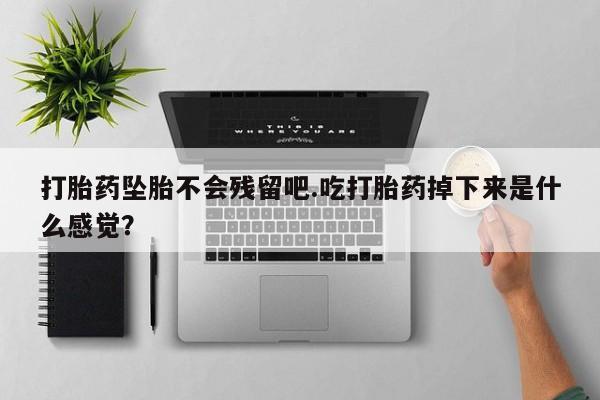 打胎药米非司酮网店,打胎药坠胎不会残留吧.吃打胎药掉下来是什么感觉？